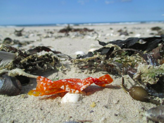 Antaflu on the beach