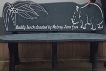 Buddy bench