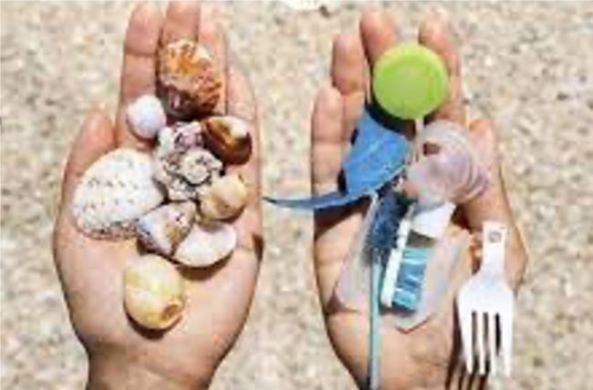 Project Toscane in actie