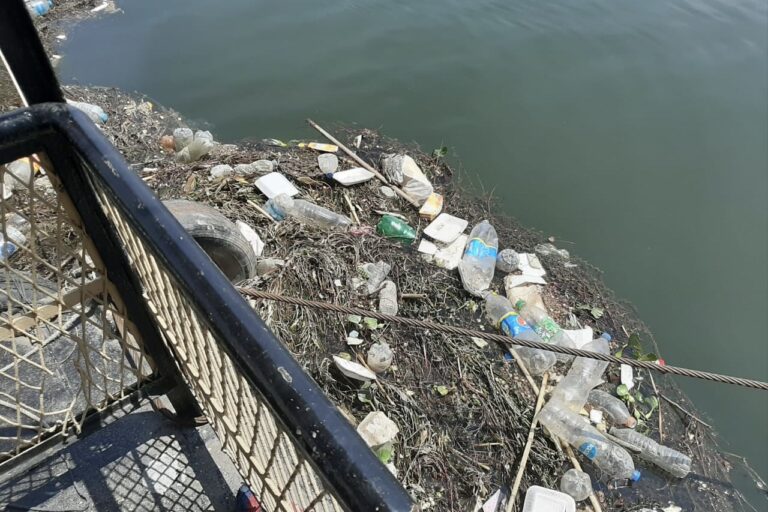 District 2451 taskforce11 3×2