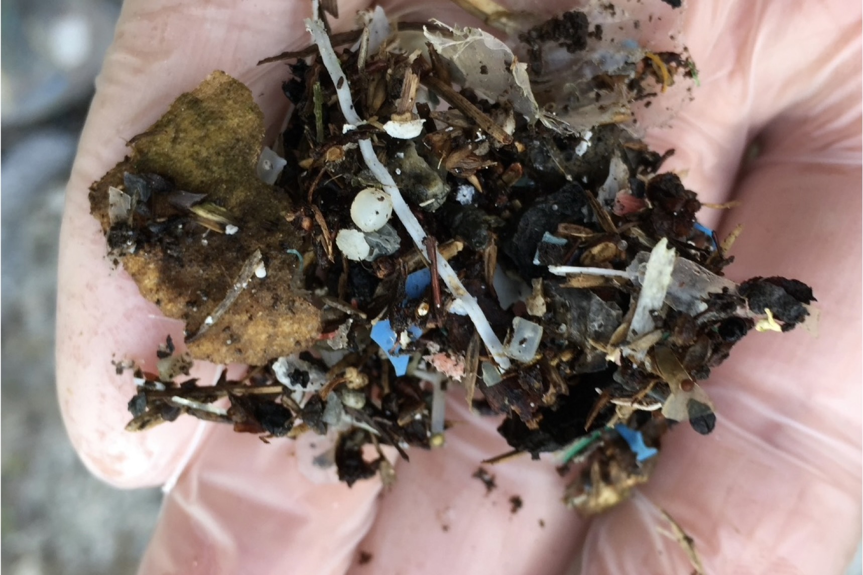 Microplastics